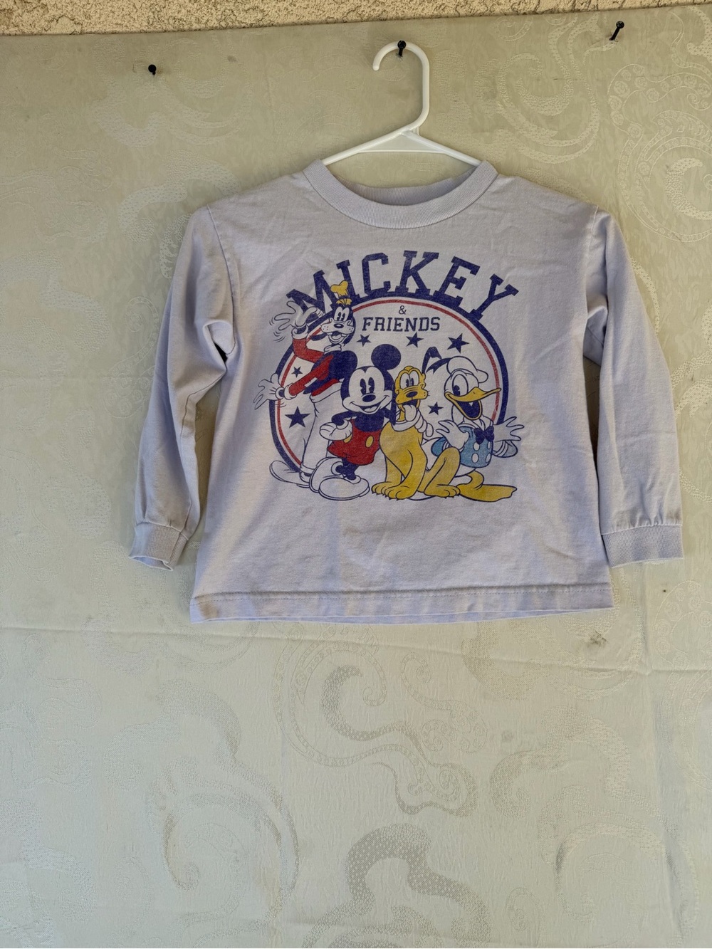 Disney Mickey & Friends Graphic Long Sleeve Tee